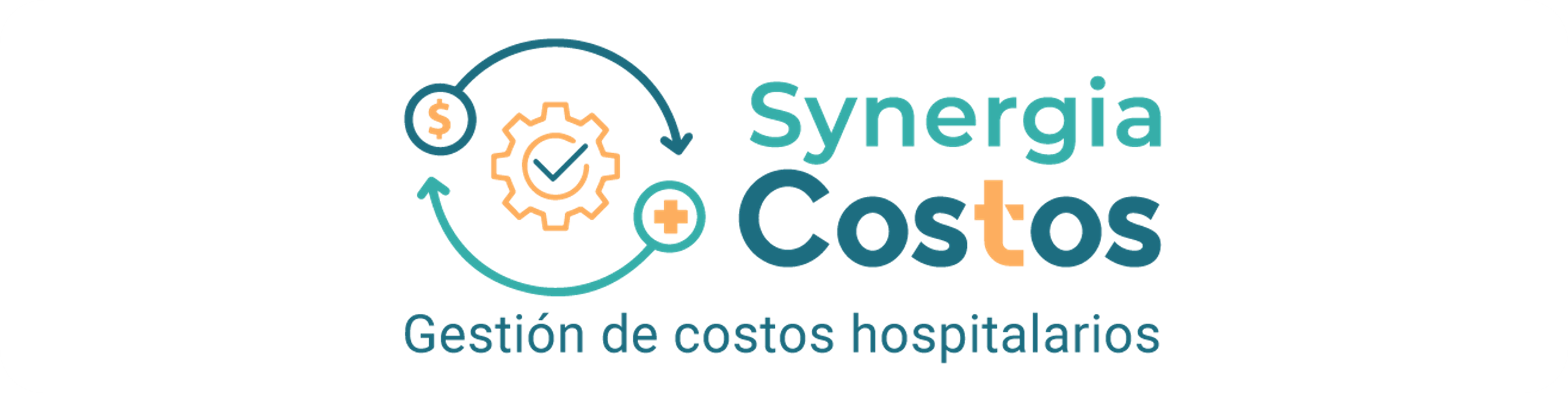 Synergia Costos
